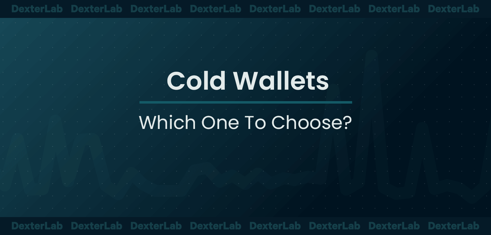 Cold Wallets Which One To Choose? Dexterlab