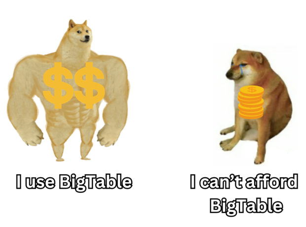 Meme about rich vs poor dev