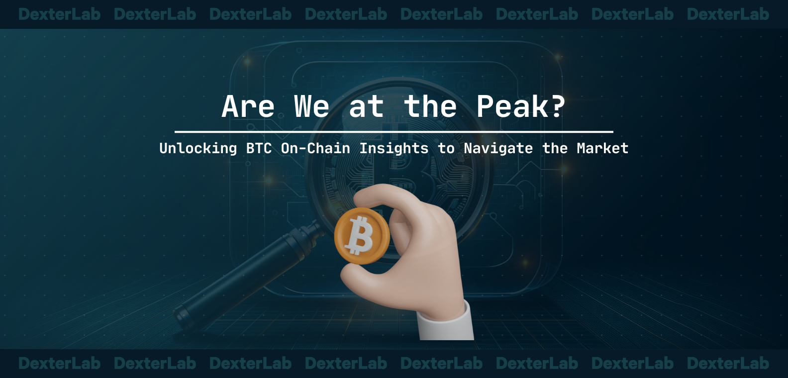 Unlocking BTC On-Chain Insights to Navigate the Market in 2024