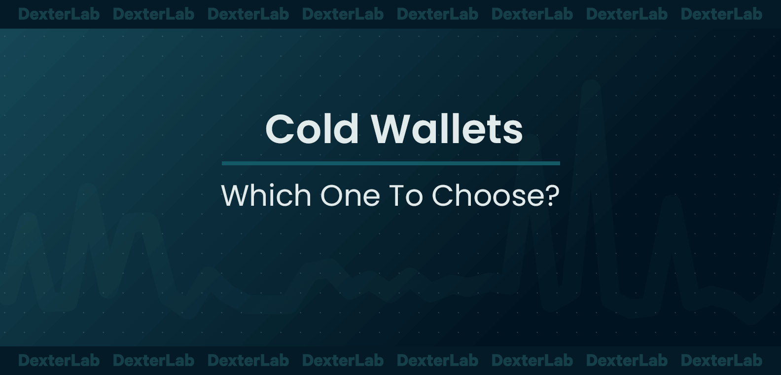 Cold Wallets: Which One To Choose?