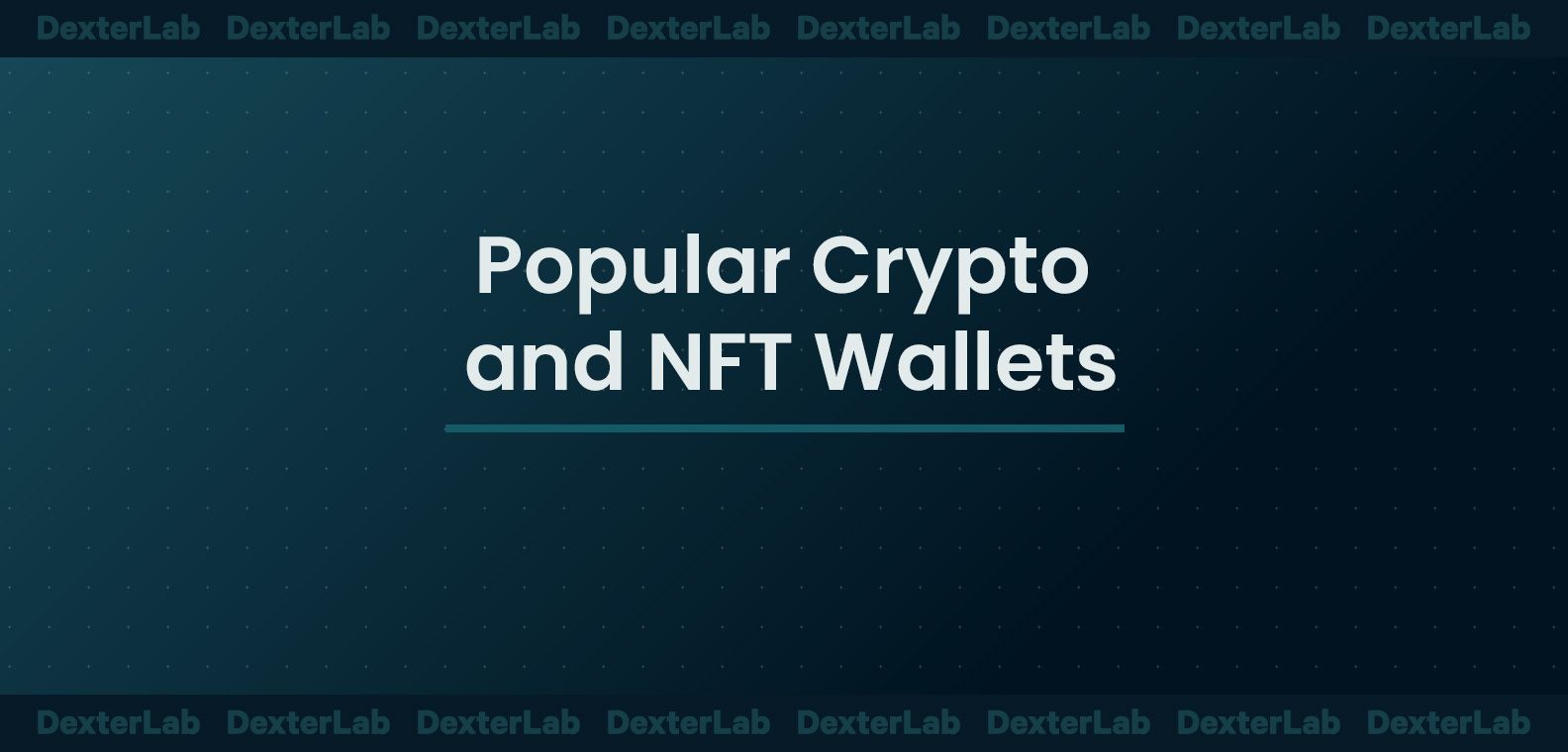 Popular Crypto and NFT Wallets