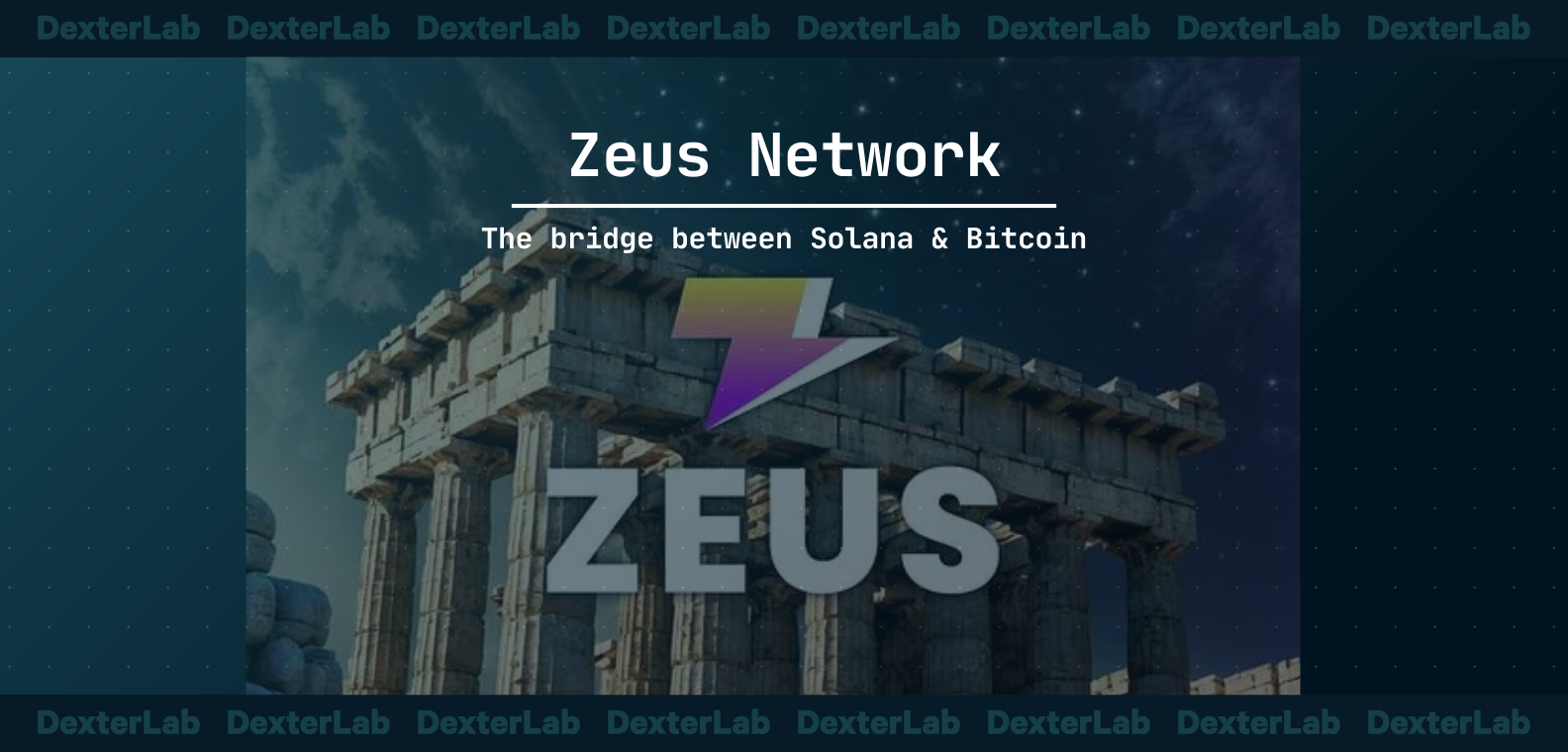 What is Zeus Network?